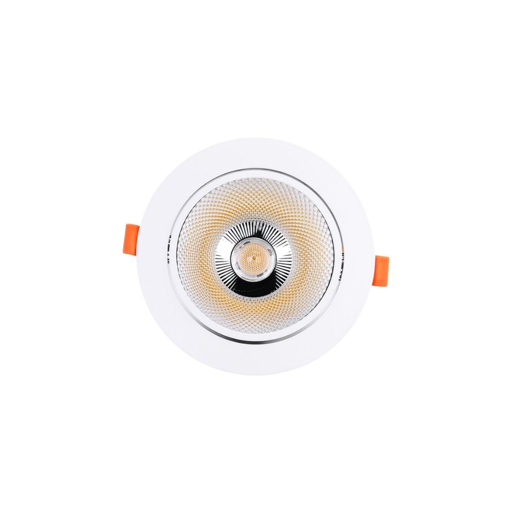 Spotlight SC1
